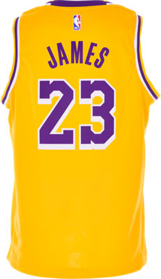Kids' Nike Los Angeles Lakers NBA LeBron James Icon ...