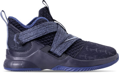 lebron james soldier 12 kids