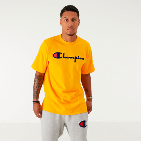 Champion Men's Flocked T-shirt In Brown